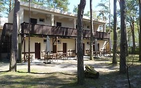 Ośrodek Wypoczynkowy W sosnowym lesie